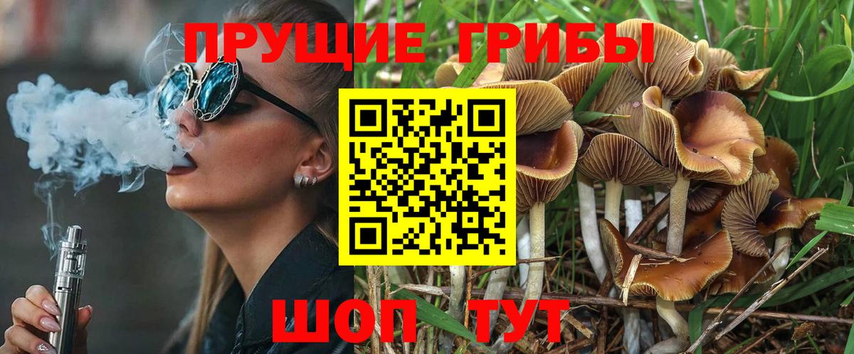 Галлюциногенные грибы Psilocybe  Вход с VPN  Галлюциногенные грибы MAGIC MUSHROOMS  Арзамас 